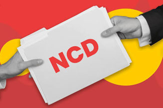 Non Convertible Debentures